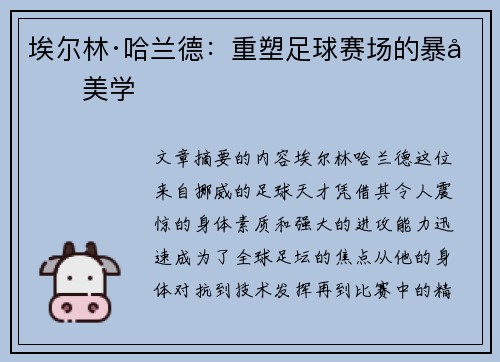 埃尔林·哈兰德:重塑足球赛场的暴力美学 埃尔林·哈兰德:重塑足球赛场的暴力美学